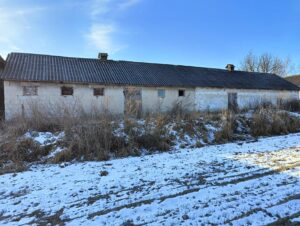 img20250221091443 (copy)