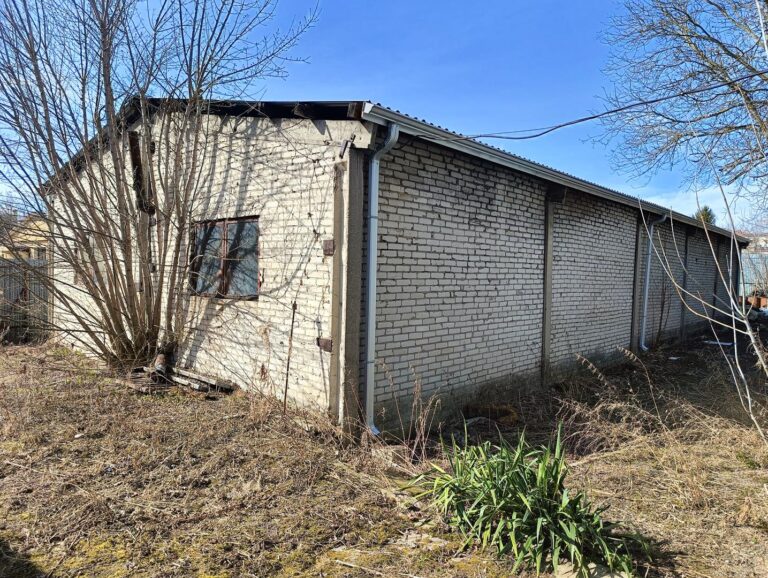 img20250312120615 (copy)