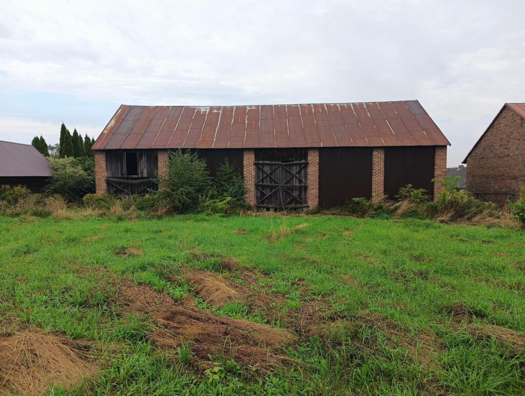 IMG20250904101604 Copy