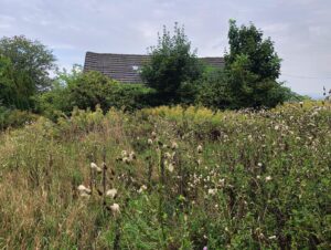 IMG20250904101846 Copy