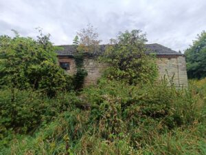 IMG20250904102001 Copy