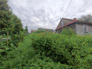 IMG20250904102619 Copy