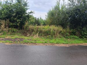 IMG20250904102831 Copy