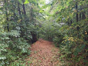 IMG20250904103109 Copy