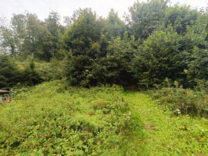 IMG20250904103335 Copy