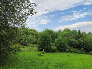 IMG20250904103818 Copy