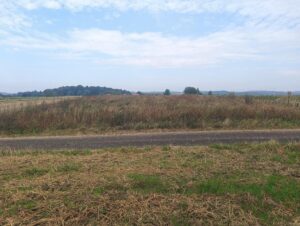 IMG20250904110759 Copy