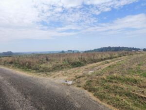 IMG20250904110849 Copy