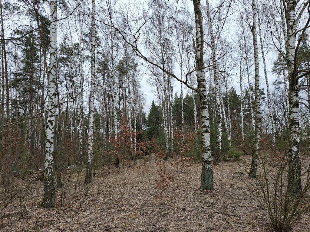 Udział 3/8 w prawie własności nieruchomości gruntowej - Nuna, dz. ew. 278 1 20260303 120715