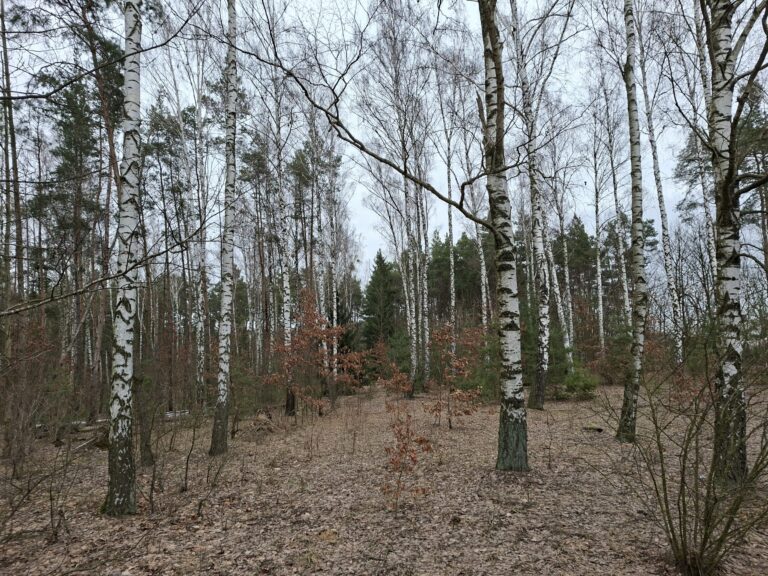 Udział 3/8 w prawie własności nieruchomości gruntowej – Nuna, dz. ew. 278