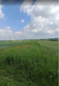 Nieruchomość gruntowa Niezabudowana - Zamość 2 Dzialka foto 2